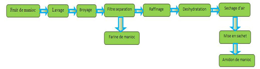 processus de manioc